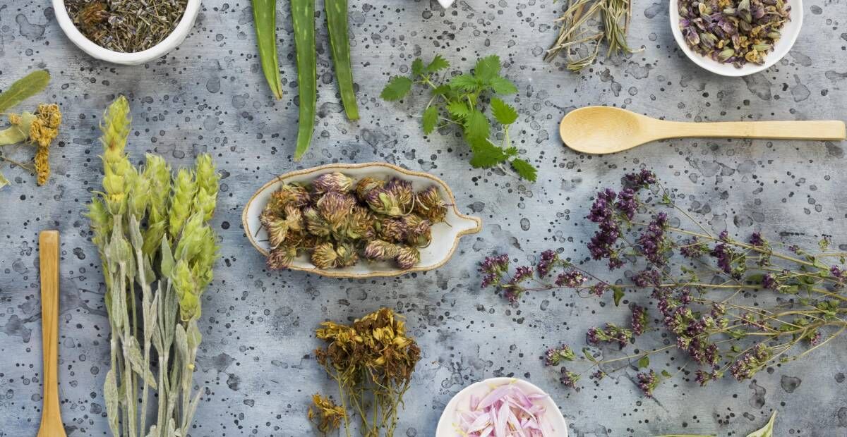 Kolajen Üretimini Destekleyen Bitkisel İçerikler Nelerdir?